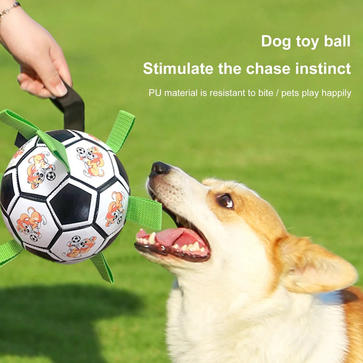 2022 New Toy Soccer Ball Toys For Puppy Large Dogs Outdoor Training Interactive Pet Bite Chew Dog Toy Soccer Football Toys