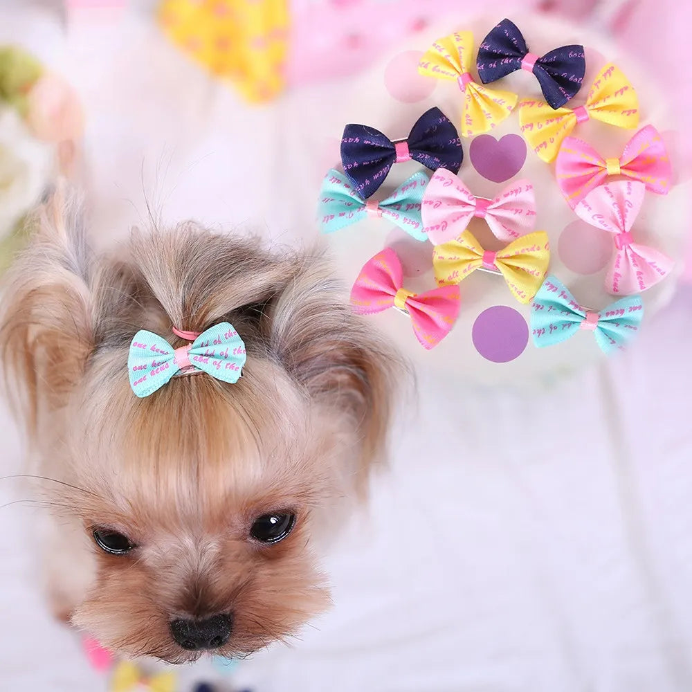5Pcs/set Cute Dog Hairpin Colorful