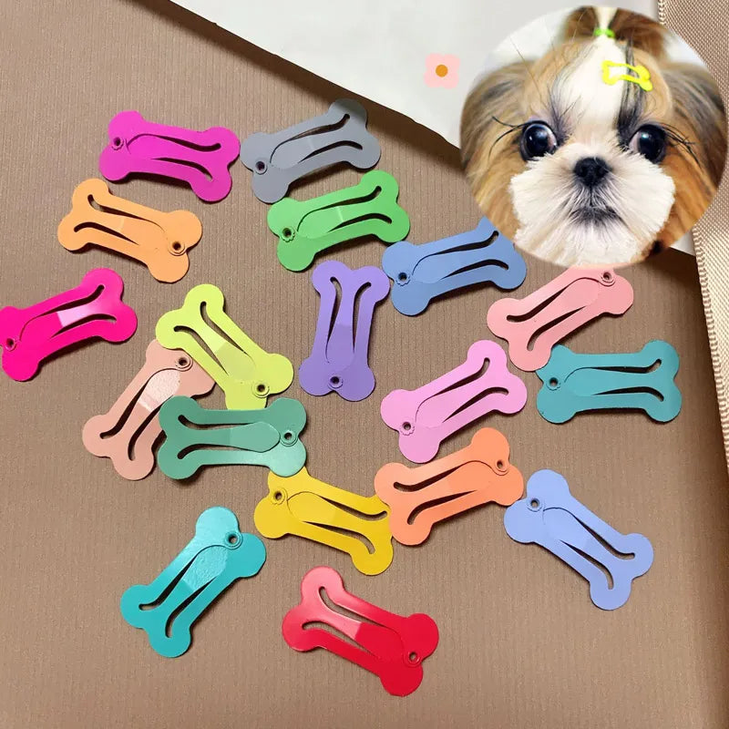 5Pcs/set Cute Dog Hairpin Colorful