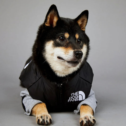 American Tide Brand The Dog Face Windproof and Rainproof Jacket Dog Large Dog Winter Warm Raincoat Dog Pet Cotton Clothing