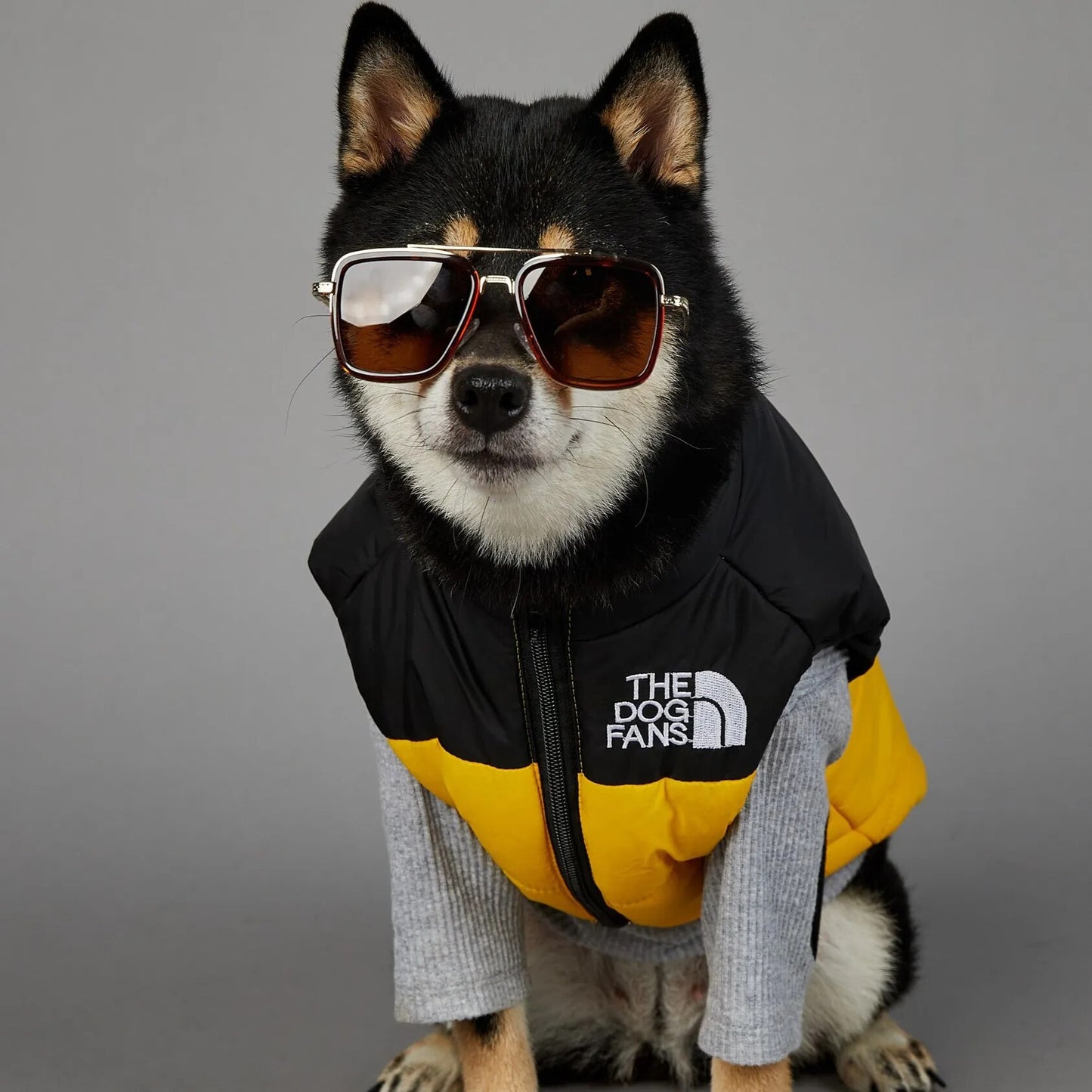 American Tide Brand The Dog Face Windproof and Rainproof Jacket Dog Large Dog Winter Warm Raincoat Dog Pet Cotton Clothing
