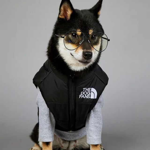 American Tide Brand The Dog Face Windproof and Rainproof Jacket Dog Large Dog Winter Warm Raincoat Dog Pet Cotton Clothing