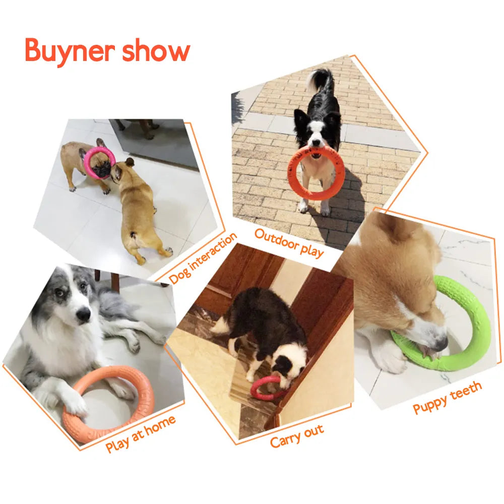 Flying Disc for your Doc--Ring Chew