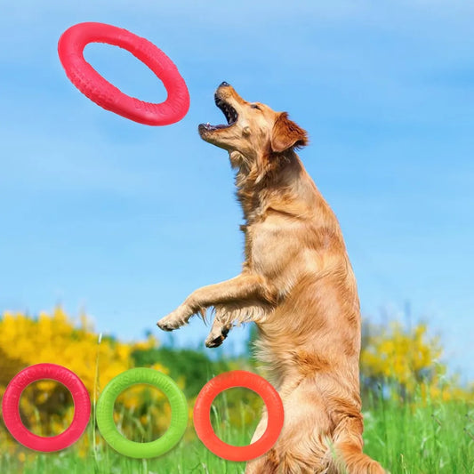 Flying Disc for your Doc--Ring Chew