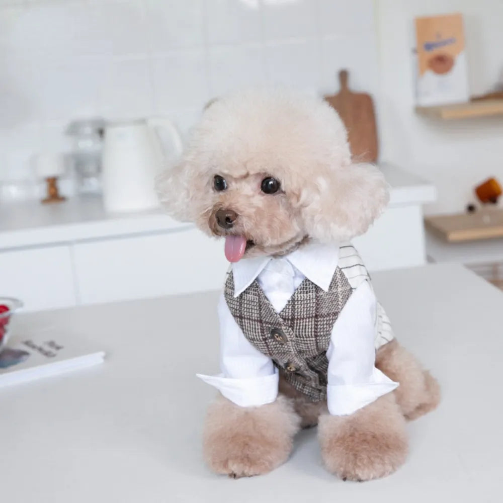 Autumn Winter Pet Suit for wedding or special occasion