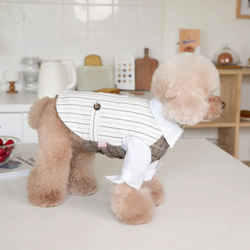 Autumn Winter Pet Suit for wedding or special occasion