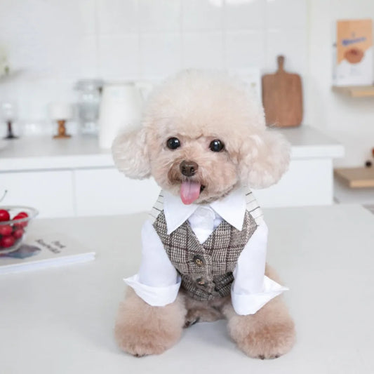 Autumn Winter Pet Suit for wedding or special occasion