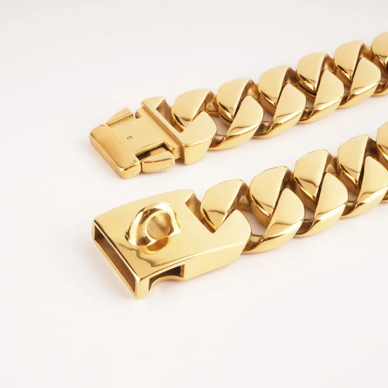 Big Dog Chain Thick Wide Bling Bling for your Pet Boo