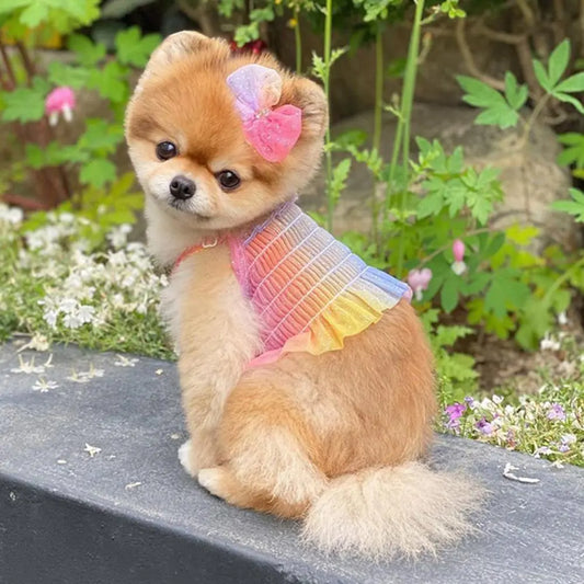 Small Dog Skirt Two-legged Sleeveless Breathable Skin-friendly Multicolor