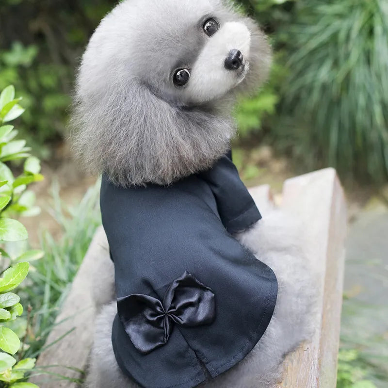 Inexpensive Dog Tuxedo---FANCY!