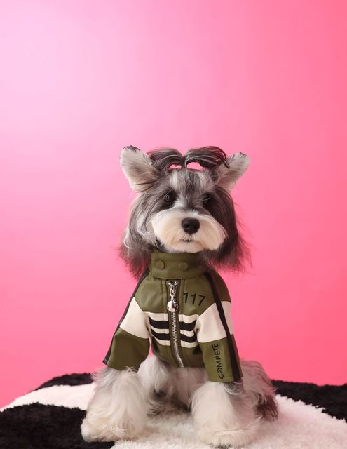 Cool Dog Leather Jacket Coat Warm Winter