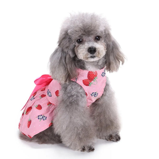 Cute Strawberry Pattern Dog Dress Dog