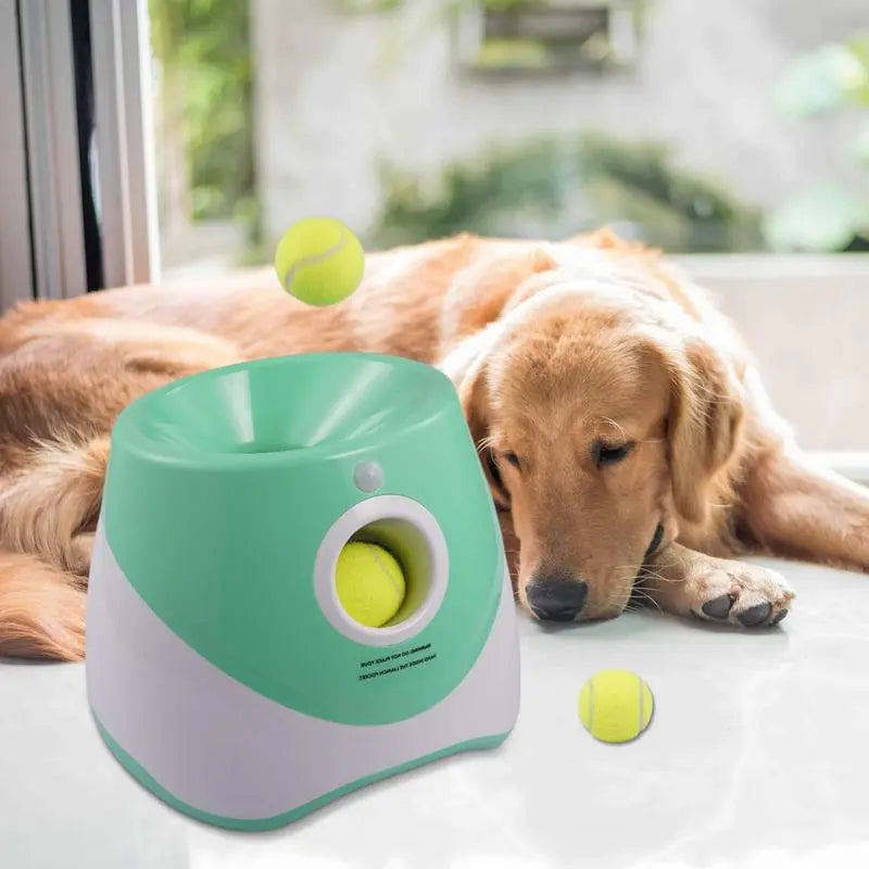 Tennis Ball Thrower For Your Dog