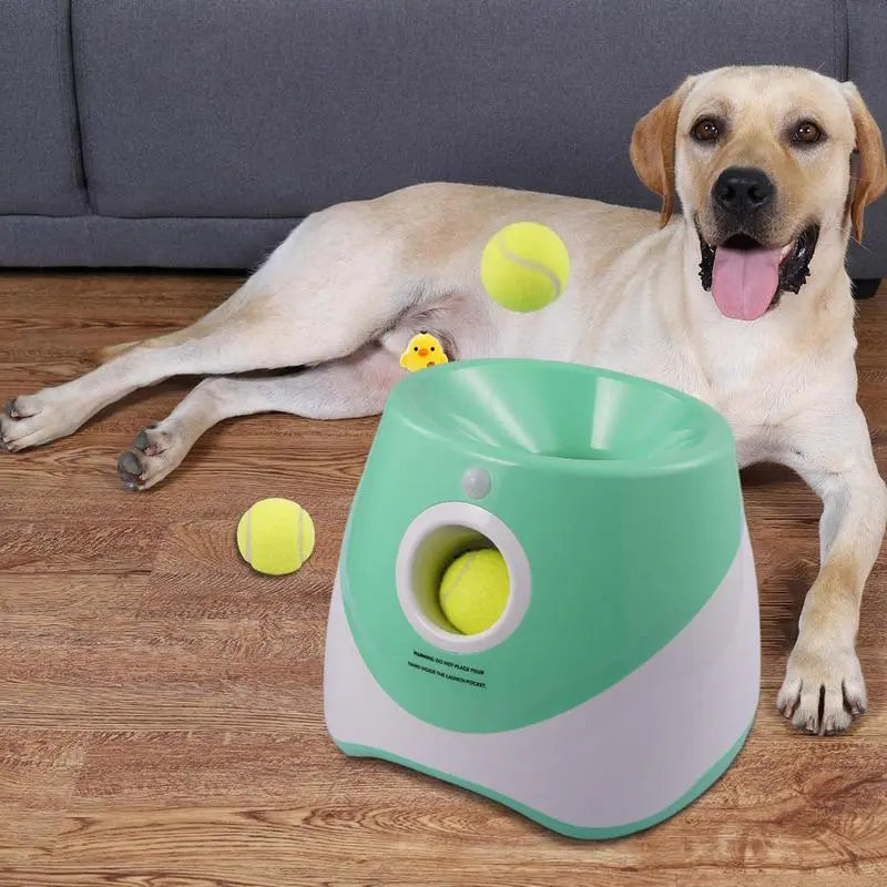 Tennis Ball Thrower For Your Dog