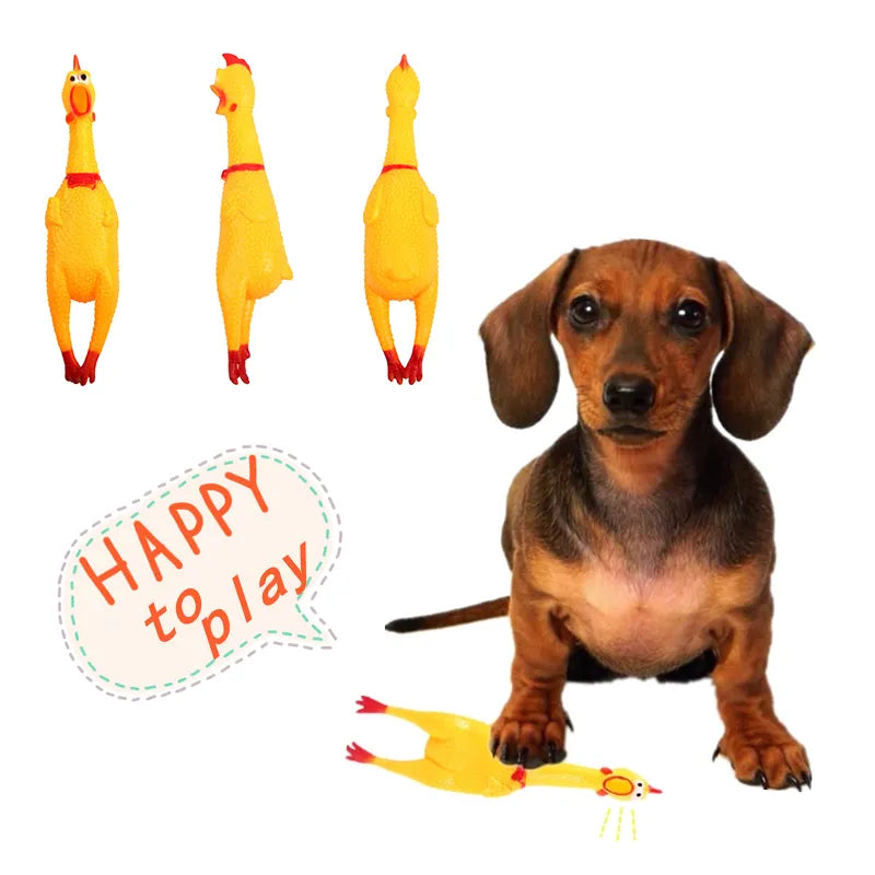 Dog Sounding Toy Small Size Screaming Chicken Pet Dog Toy Screaming Chicken Releasing Chicken Pets Dog Squeak Toys Pet Pruduct