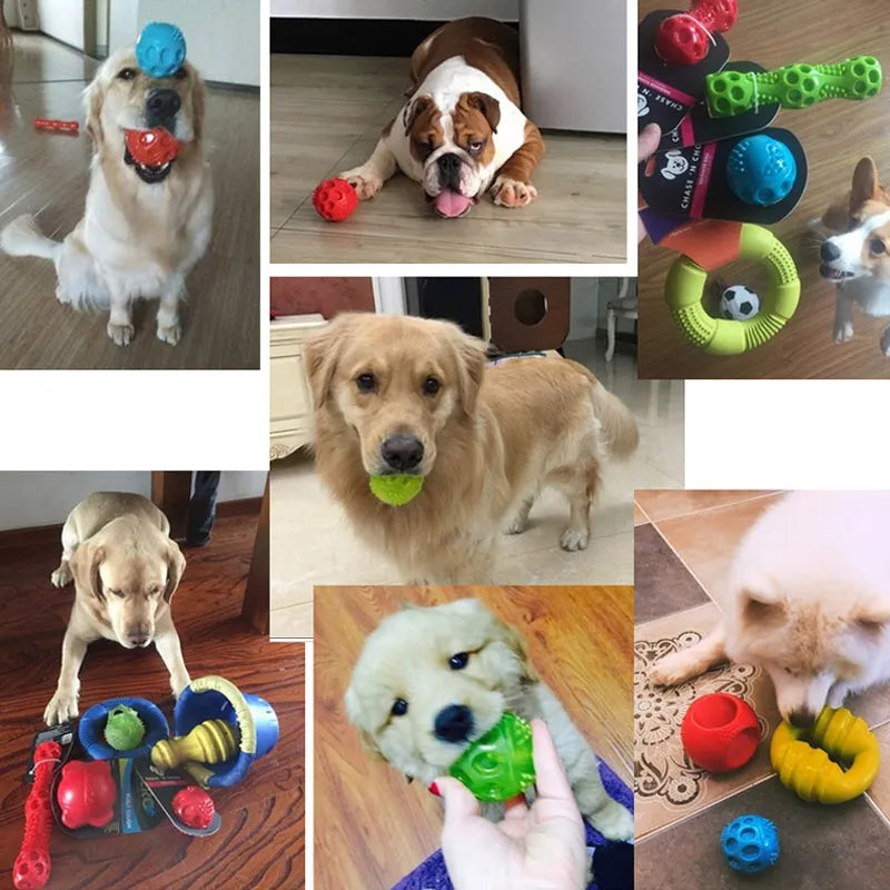 CAITEC Dog Toys Squeaking Bouncing Ball Durable Floatable Springy Pet Toys Squeaky Ball Bite Resistant for Small to Large Dogs