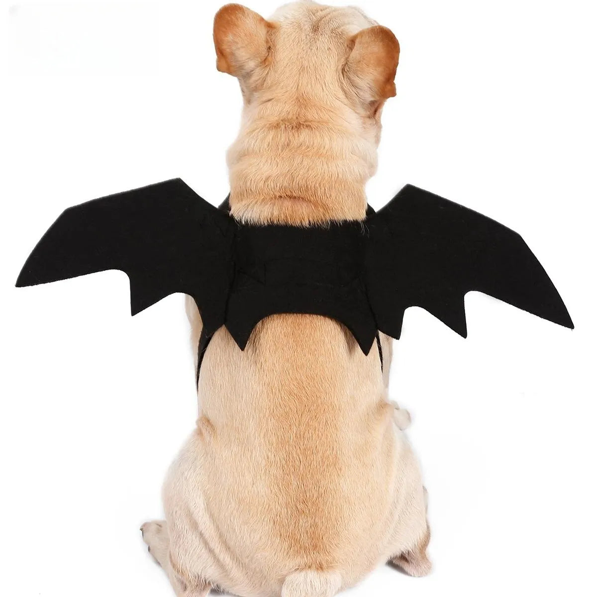 Halloween Wings Dog Costume How to Train Your Dragon Dress Dog Like Toothless Pet Halloween Christmas Dog Cat Cos Gift