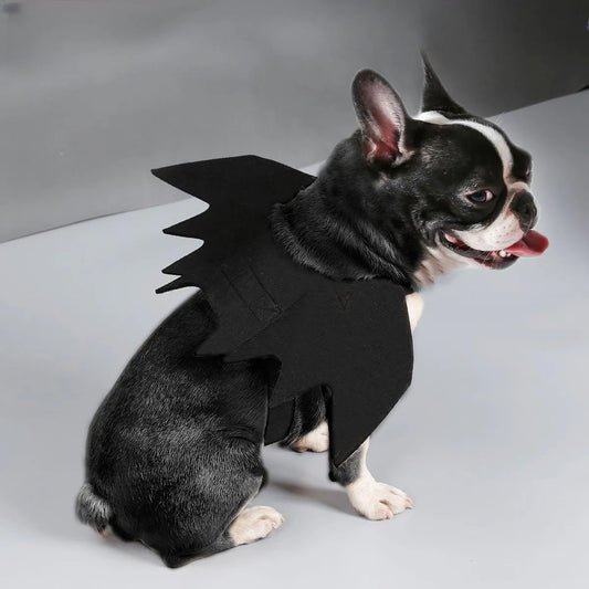 Halloween Wings Dog Costume How to Train Your Dragon Dress Dog Like Toothless Pet Halloween Christmas Dog Cat Cos Gift