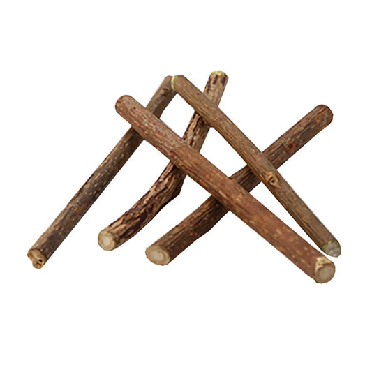 Hot Catnip Cat Toy Pure Natural Chewing Safety Cleaning Teeth Molar Toothpaste Branch Silvervine Cat Snacks Sticks Pet Supplies