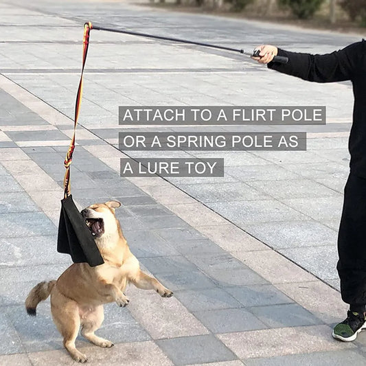 Leather Bite Rag for Dog Training Puppy Toy to Build Prey Drive Train Bite Grip Play Tug of War Game with Handle