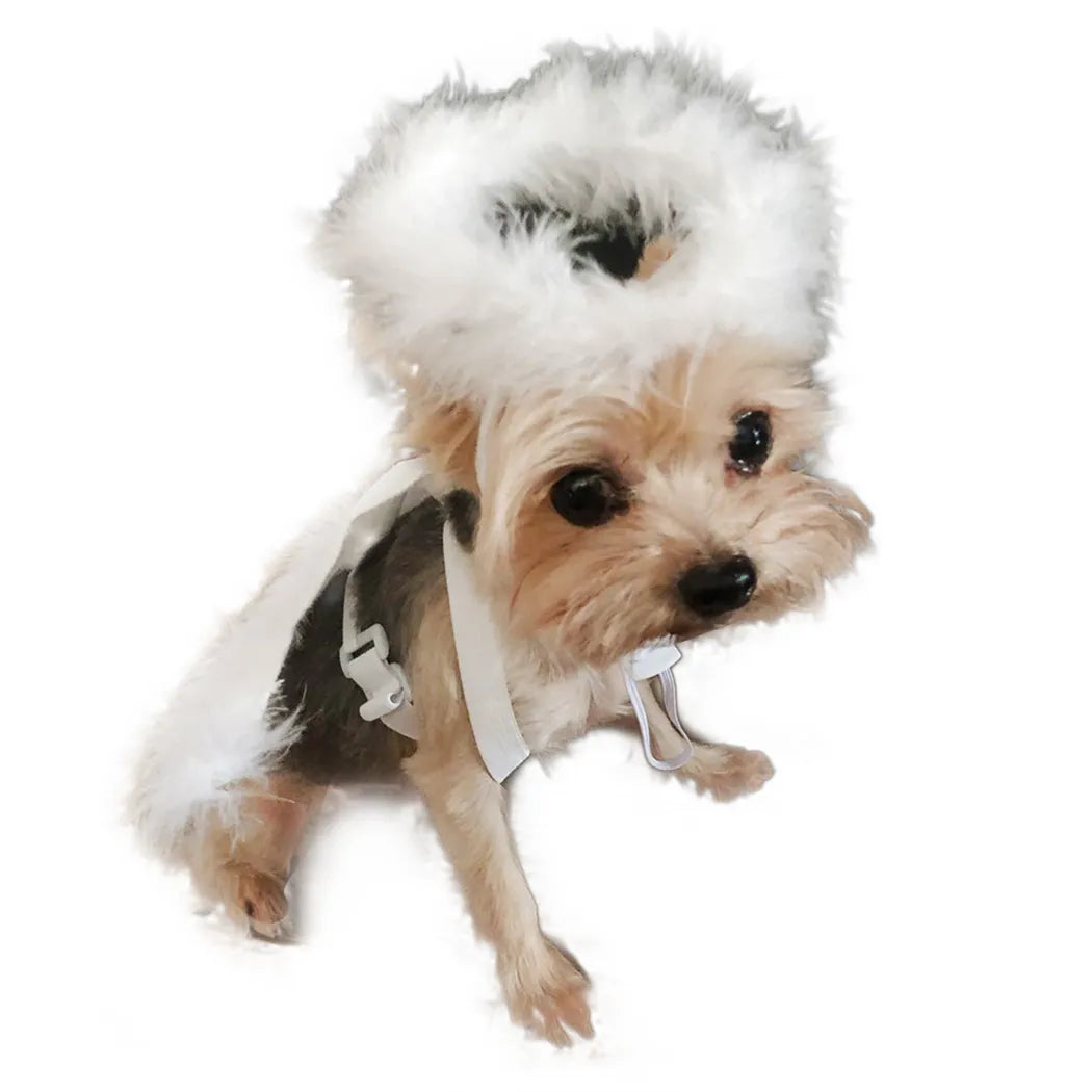Legendog Cute Pet Costume Accessories Set Dog Cat Feather Angel Halo Wing Halloween Birthday Christmas Gifts Decor