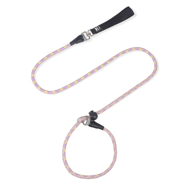New Nylon P Slip Dog Leash Reflective Training Pet Lead Explosion Proof Not Entangled Strong P Collar Integrated Dogs Rope Stuff