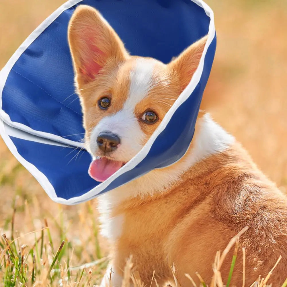 Pet Cone Collar Adjustable Waterproof Stop Licking Non-woven Fabric Dog Cat Wound Healing Protective Cone Pet Collar Pet Supply