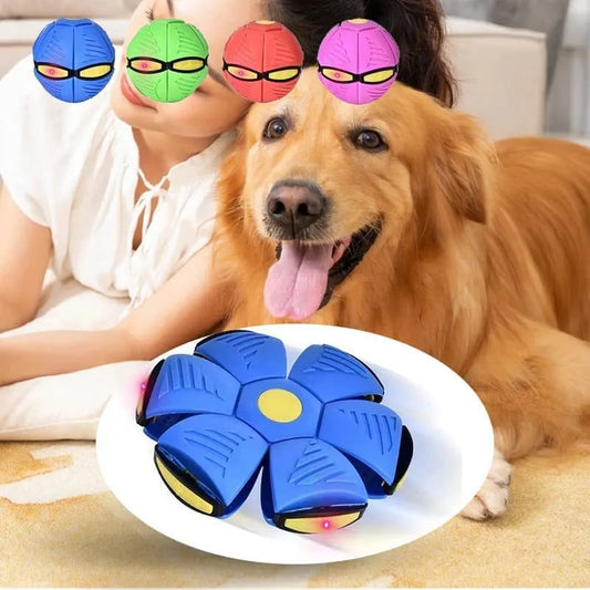 Pet Dog Toys Flying UFO Deformable Saucer Ball Interactive Outdoor Sports Dogs Training Toy Flat Throw Disc Ball Dog Supplies