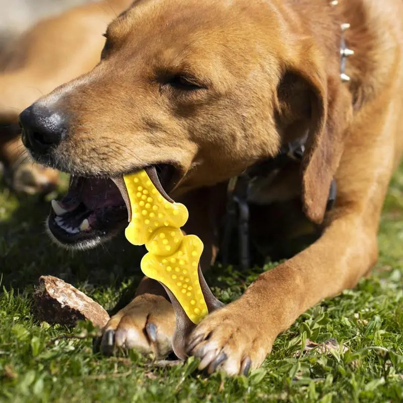 Puppy Teething Toys Dog Chew Toothbrush Stick Cleaning Massager Pet Teeth Cleaning Toys Aggressive Chewers Dog Pet Accessories