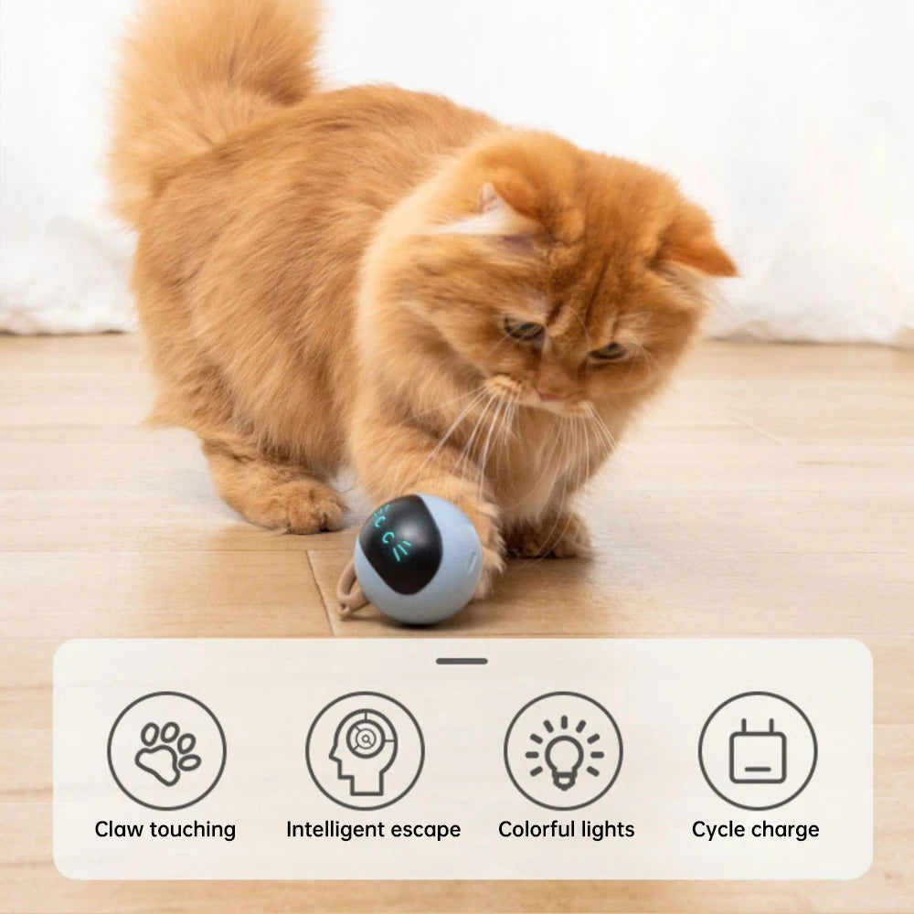 Automatic Cat Toy Interactive Smart Ball for Cats USB Charging Colorful Led Light Toys  360°Self Rotating Toys Pet Products