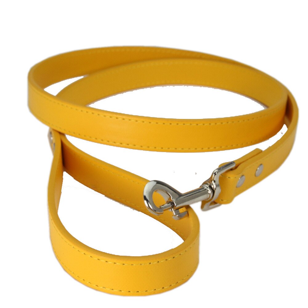 Leather Traction Rope Cat and Dog Custom Leash
