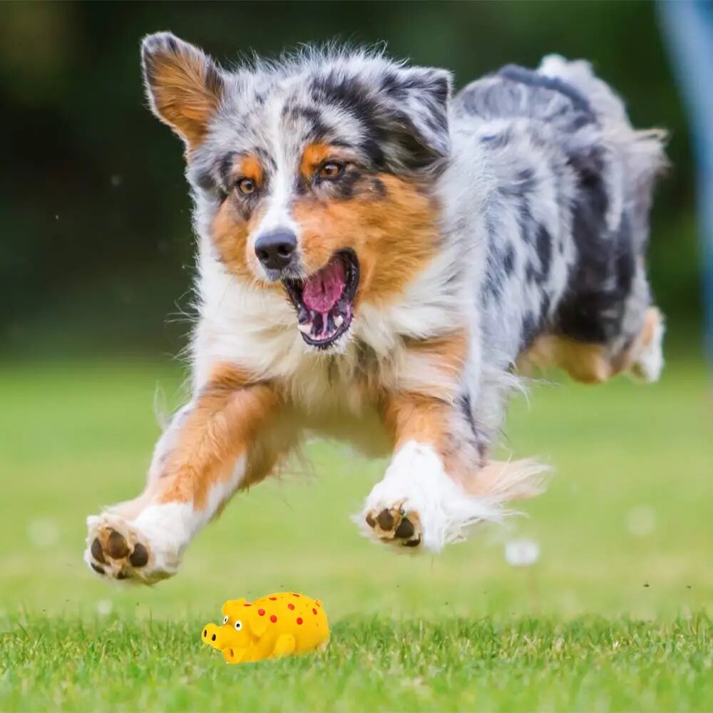 Squeaky Pig Dog Toy Durable Rubber Pig Squeaker Dog Puppy Chew Toys Latex Interactive Cute Toy for Small Medium Large Dogs