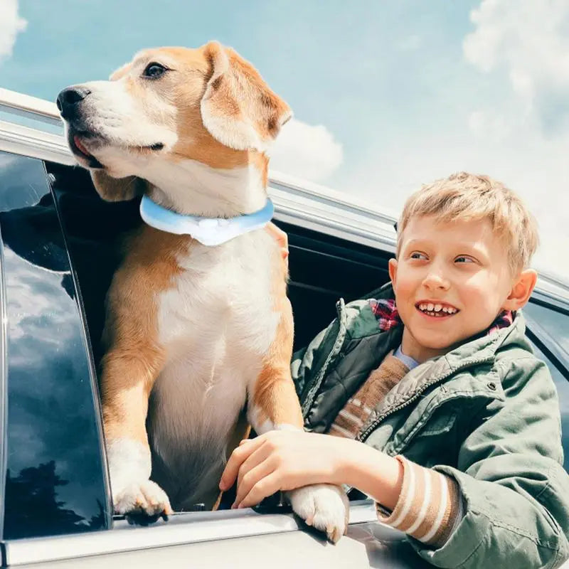Summer Pet Collar For Dog Cooling Ice Neck Band Pets Harness Cooler Cooling Summer Wrap Sunstroke For Small Medium Large Dog