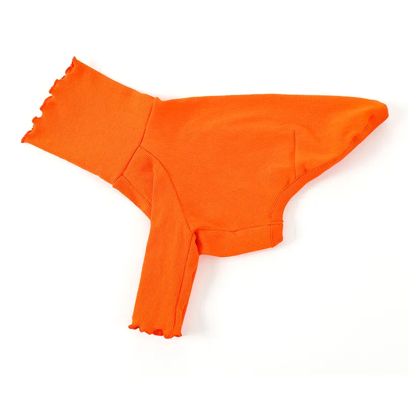 italian greyhound and whippet clothes iggy Dog Sweater Orange Lace Bodysuit High Neck Stretch Long Sleeve Dog Clothes