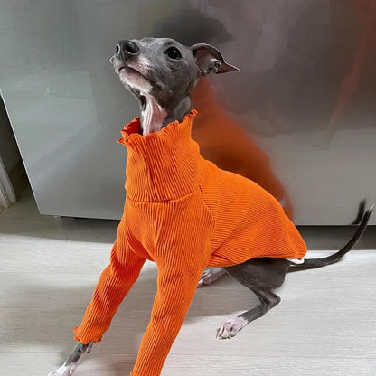 italian greyhound and whippet clothes iggy Dog Sweater Orange Lace Bodysuit High Neck Stretch Long Sleeve Dog Clothes