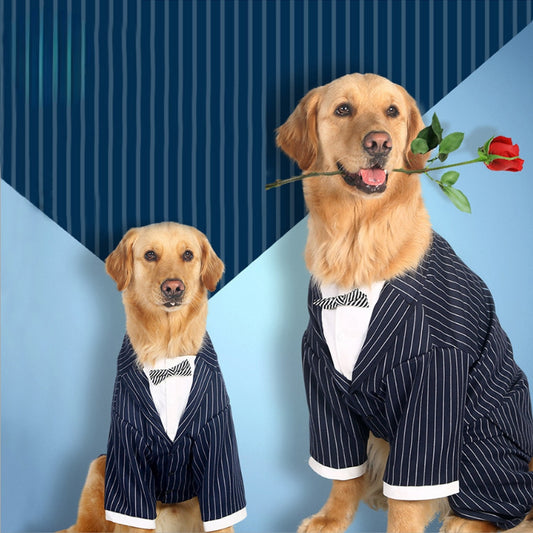 Fancy Dog Suits Italian Greyhound Humor Dog Costume