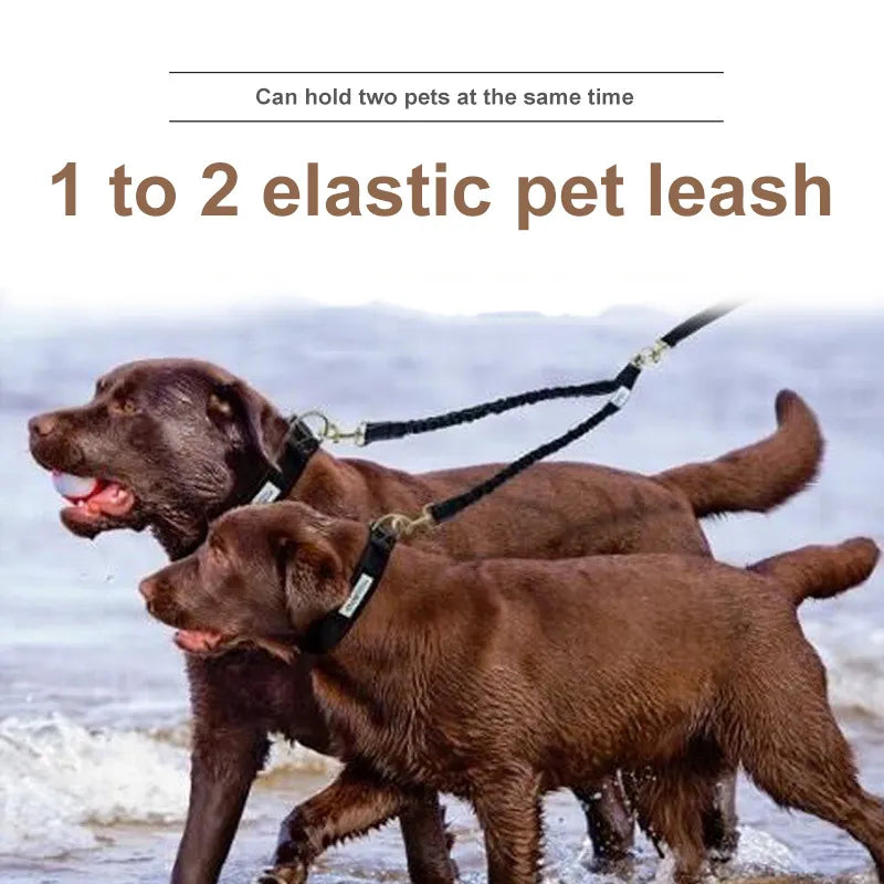 2 Way Double Dog Pet Leash Rope Elastic