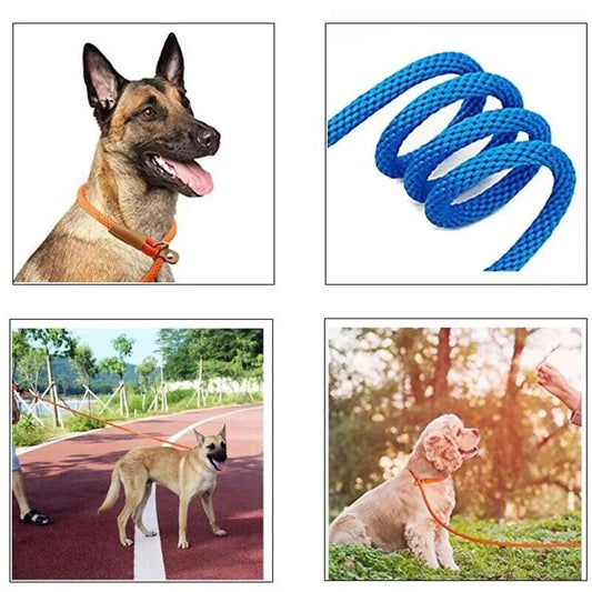 Adjustable Dog Leash Slip Rope Lead Leash Heavy Duty Braided Rope Loop Collar Training Leashes Nylon Pet Lead Harness Dog Tool