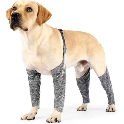 Dog Leggings to Prevent Licking Pee