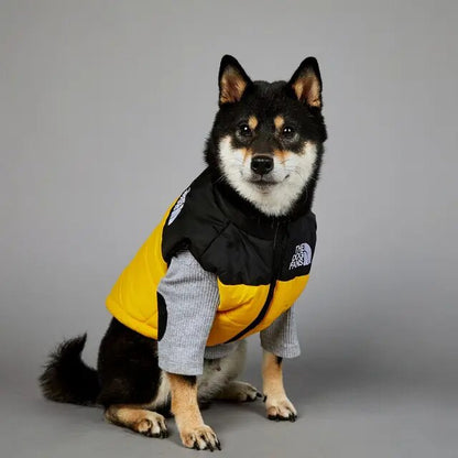 American Tide Brand The Dog Face Windproof and Rainproof Jacket Dog Large Dog Winter Warm Raincoat Dog Pet Cotton Clothing