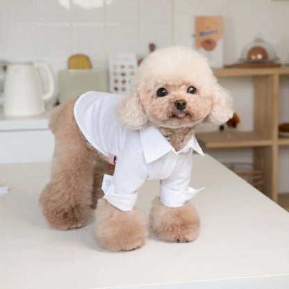 Autumn Winter Pet Suit for wedding or special occasion