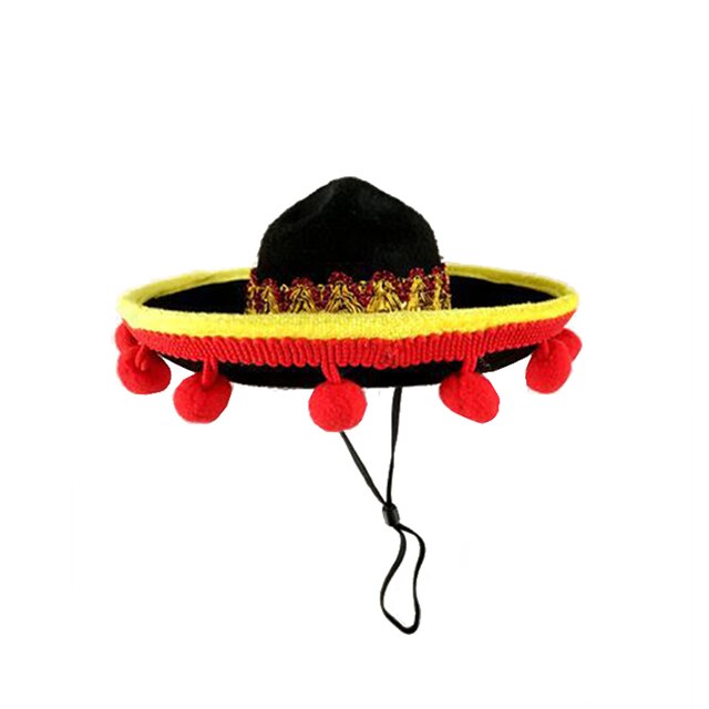 Small Dog and Cat Sombrero