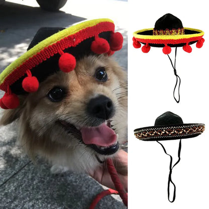 Small Dog and Cat Sombrero