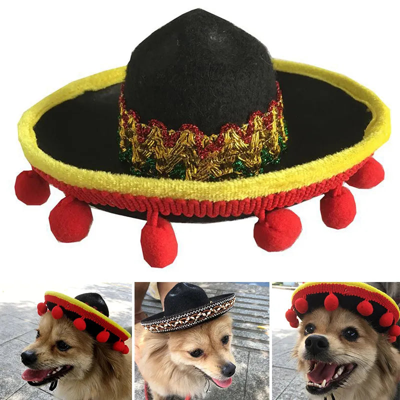 Small Dog and Cat Sombrero