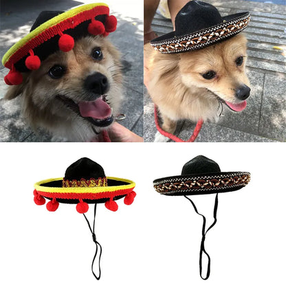 Small Dog and Cat Sombrero