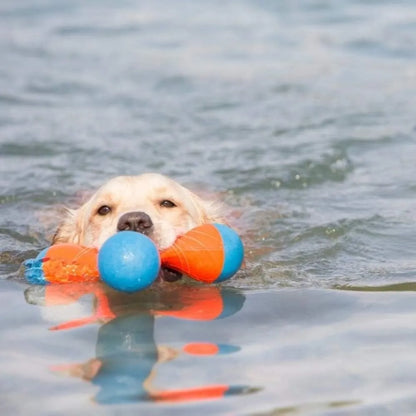 Chuckit! Amphibious Bumper Fetch and Float Dog Toy