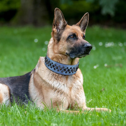 Dog Collar For Large Dogs Cool Spikes Studded Leather