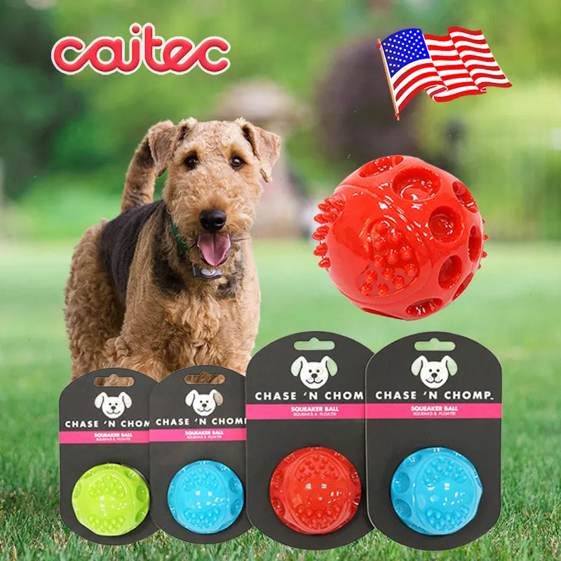 CAITEC Dog Toys Squeaking Bouncing Ball Durable Floatable Springy Pet Toys Squeaky Ball Bite Resistant for Small to Large Dogs