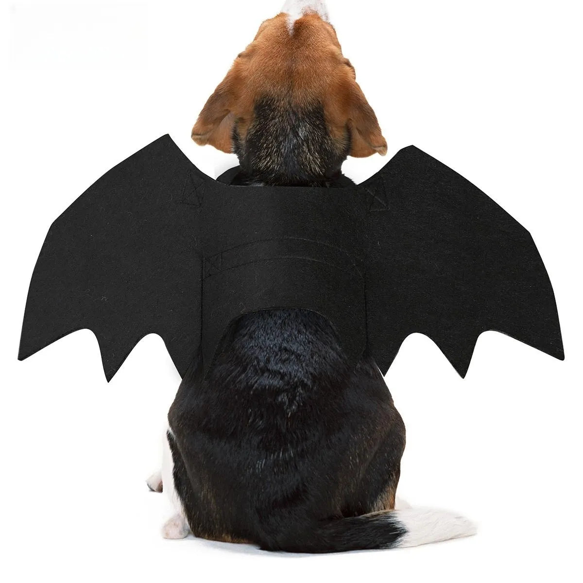 Halloween Wings Dog Costume How to Train Your Dragon Dress Dog Like Toothless Pet Halloween Christmas Dog Cat Cos Gift