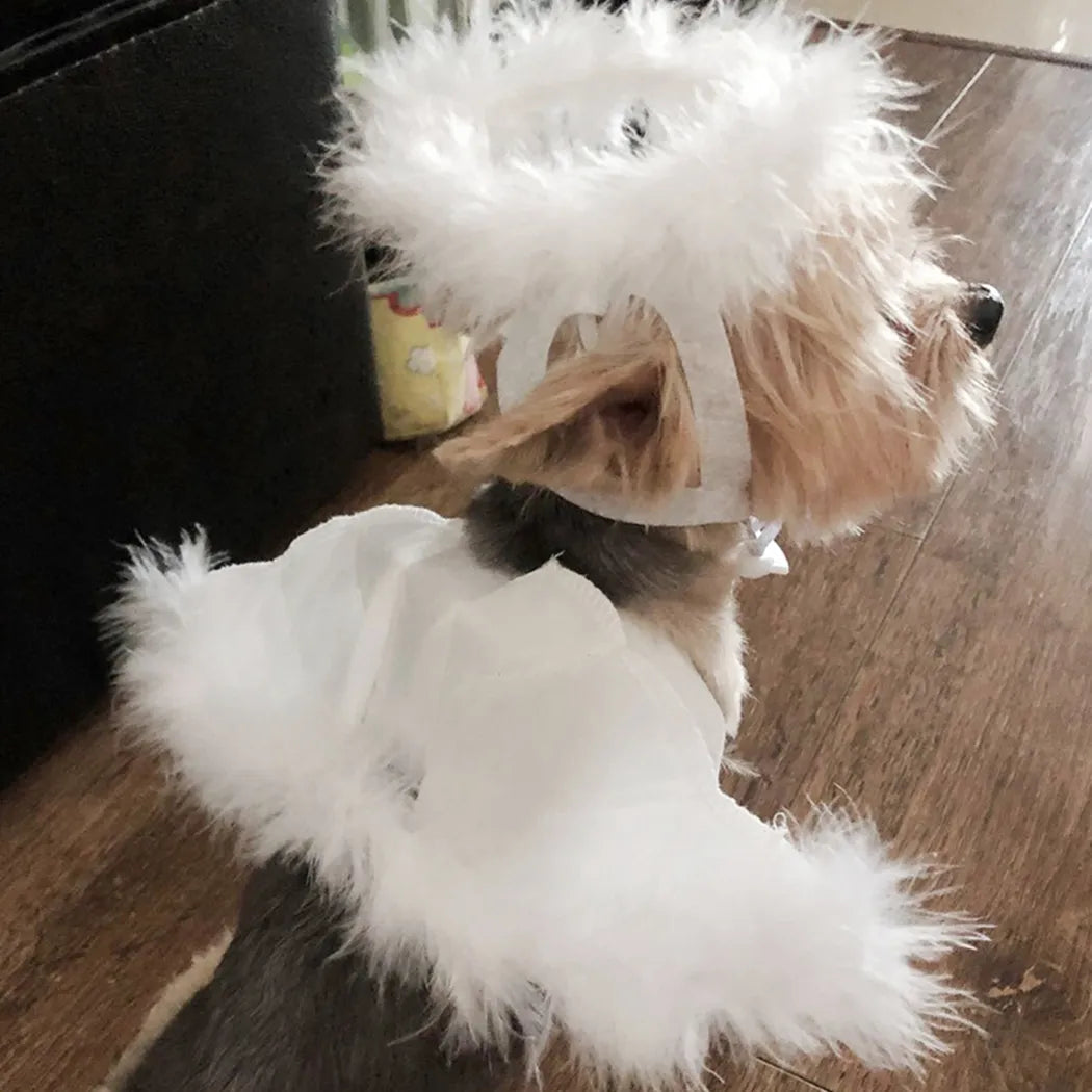 Legendog Cute Pet Costume Accessories Set Dog Cat Feather Angel Halo Wing Halloween Birthday Christmas Gifts Decor